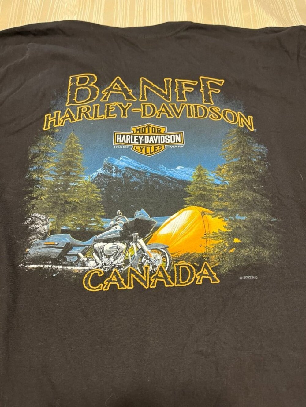 Harley-Davidson Motorcycles Black T-Shirt - Picture 4 of 8